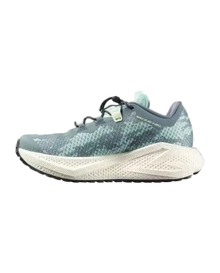 salomon aero glide 4 grvl women's | stormy weather / lichen / vanilla ice