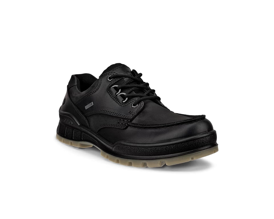 ecco track 25 low gore-tex men's | blk